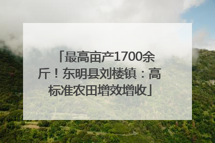 最高亩产1700余斤！东明县刘楼镇：高标准农田增效增收
