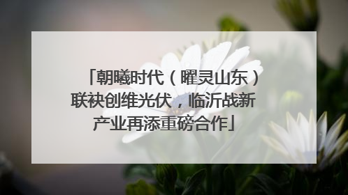 朝曦时代（曜灵山东）联袂创维光伏，临沂战新产业再添重磅合作