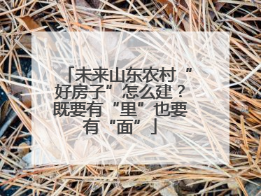 未来山东农村“好房子”怎么建？既要有“里”也要有“面”