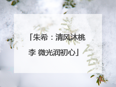 朱希：清风沐桃李 微光润初心
