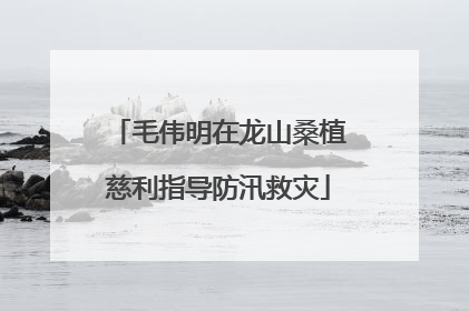 毛伟明在龙山桑植慈利指导防汛救灾