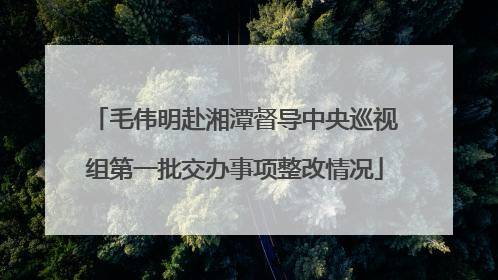 毛伟明赴湘潭督导中央巡视组第一批交办事项整改情况