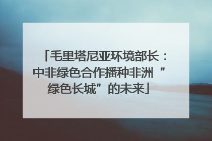 毛里塔尼亚环境部长：中非绿色合作播种非洲“绿色长城”的未来