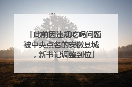 此前因违规吃喝问题被中央点名的安徽县城，新书记调整到位