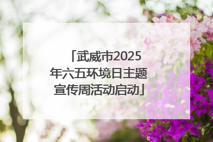 武威市2025年六五环境日主题宣传周活动启动