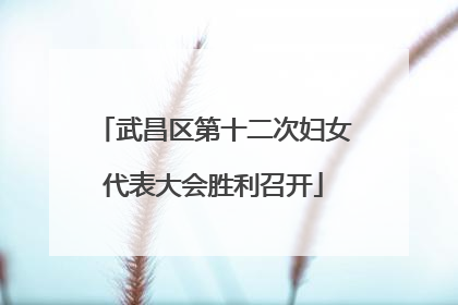 武昌区第十二次妇女代表大会胜利召开