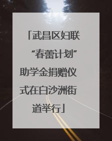 武昌区妇联“春蕾计划”助学金捐赠仪式在白沙洲街道举行