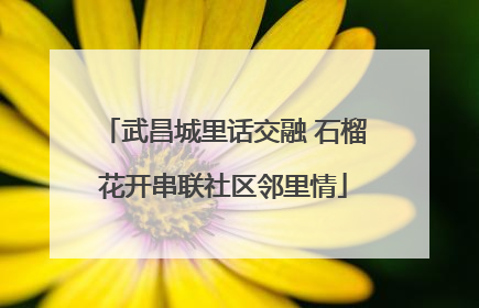 武昌城里话交融 石榴花开串联社区邻里情