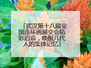 武汉第十八届全国连环画展交会精彩启幕，唤醒几代人的集体记忆