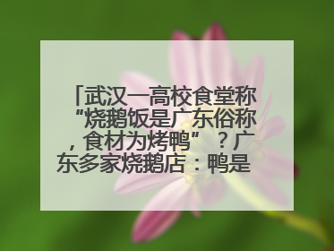 武汉一高校食堂称“烧鹅饭是广东俗称，食材为烤鸭”？广东多家烧鹅店：鸭是鸭鹅是鹅