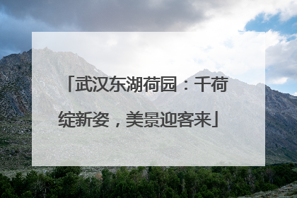 武汉东湖荷园：千荷绽新姿，美景迎客来