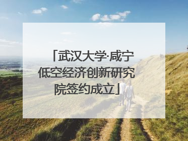 武汉大学·咸宁低空经济创新研究院签约成立