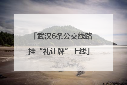 武汉6条公交线路挂“礼让牌”上线