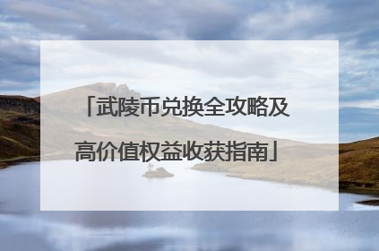 武陵币兑换全攻略及高价值权益收获指南