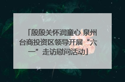 殷殷关怀润童心 泉州台商投资区领导开展“六一”走访慰问活动