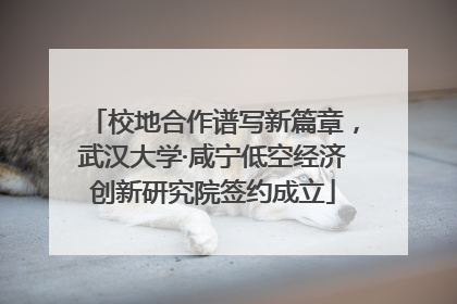 校地合作谱写新篇章，武汉大学·咸宁低空经济创新研究院签约成立