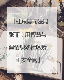 桂东县司法局张菲：用智慧与温情织就社区矫正安全网