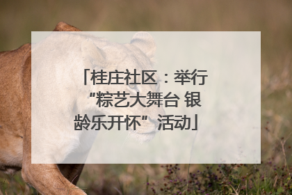 桂庄社区：举行“粽艺大舞台 银龄乐开怀”活动