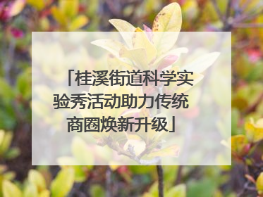 桂溪街道科学实验秀活动助力传统商圈焕新升级