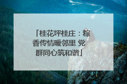 桂花坪桂庄：粽香传情暖邻里 党群同心筑和谐