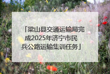 梁山县交通运输局完成2025年济宁市民兵公路运输集训任务