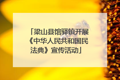 梁山县馆驿镇开展《中华人民共和国民法典》宣传活动