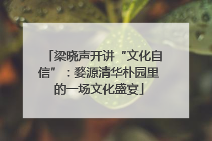 梁晓声开讲“文化自信”：婺源清华朴园里的一场文化盛宴