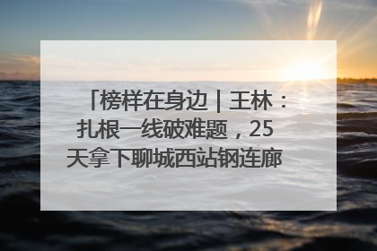 榜样在身边｜王林：扎根一线破难题，25天拿下聊城西站钢连廊“硬核”工程