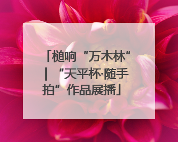 槌响“万木林”｜“天平杯·随手拍”作品展播
