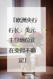 欧洲央行行长：美元主导地位正在变得不确定