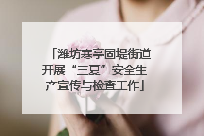 潍坊寒亭固堤街道开展“三夏”安全生产宣传与检查工作