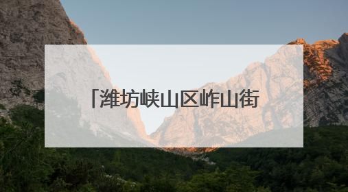 潍坊峡山区岞山街道：聚力集采谋发展 便民惠民办实事