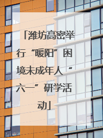 潍坊高密举行“暖阳”困境未成年人“六一”研学活动
