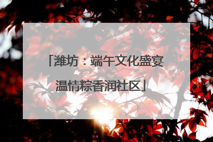 潍坊：端午文化盛宴 温情粽香润社区