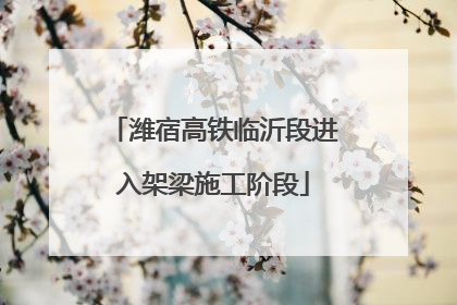 潍宿高铁临沂段进入架梁施工阶段