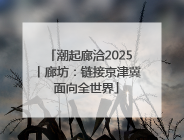 潮起廊洽2025丨廊坊：链接京津冀 面向全世界