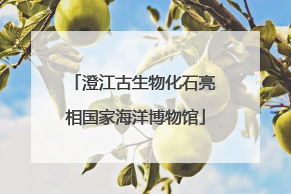 澄江古生物化石亮相国家海洋博物馆