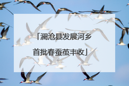 澜沧县发展河乡首批春蚕茧丰收