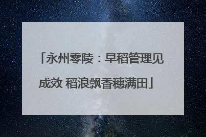 永州零陵：早稻管理见成效 稻浪飘香穗满田