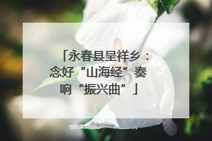永春县呈祥乡：念好“山海经”奏响“振兴曲”