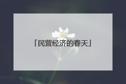 民营经济的春天