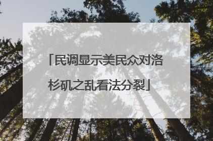 民调显示美民众对洛杉矶之乱看法分裂