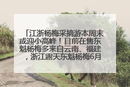 江浙杨梅采摘游本周末或迎小高峰！目前在售东魁杨梅多来自云南、福建，浙江露天东魁杨梅6月中旬大量上市