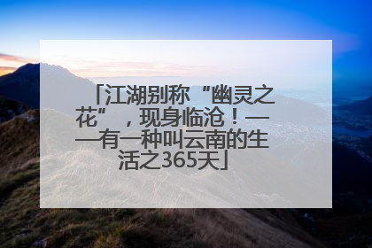 江湖别称“幽灵之花”，现身临沧！——有一种叫云南的生活之365天