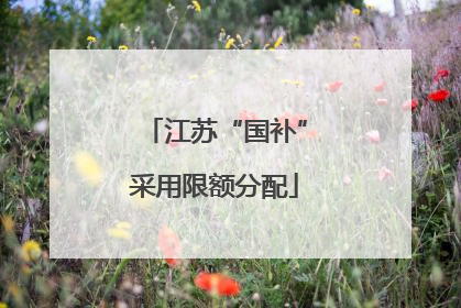 江苏“国补”采用限额分配