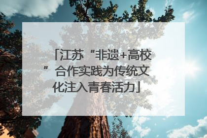 江苏“非遗+高校”合作实践为传统文化注入青春活力