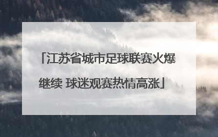 江苏省城市足球联赛火爆继续 球迷观赛热情高涨
