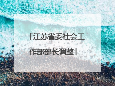江苏省委社会工作部部长调整