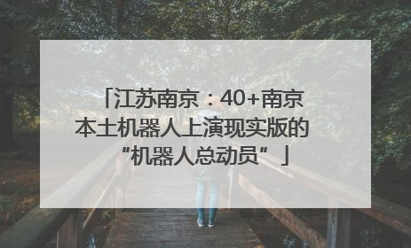 江苏南京：40+南京本土机器人上演现实版的“机器人总动员”