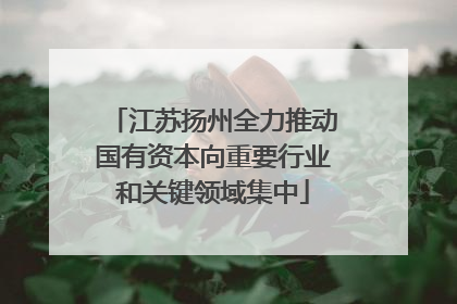 江苏扬州全力推动国有资本向重要行业和关键领域集中